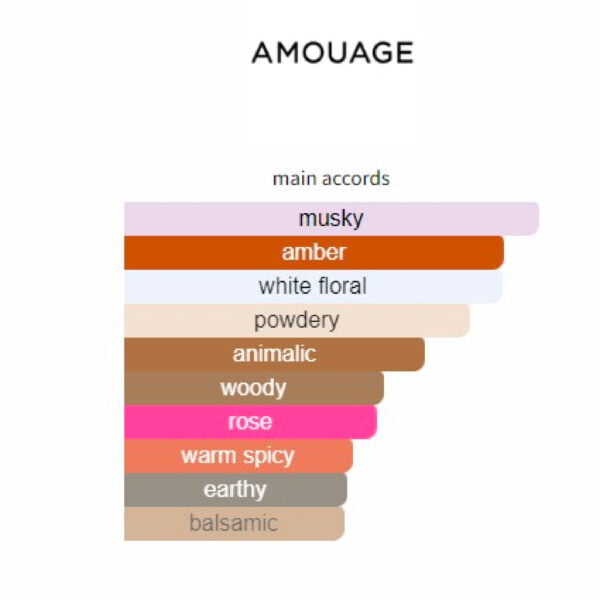 amouage for men