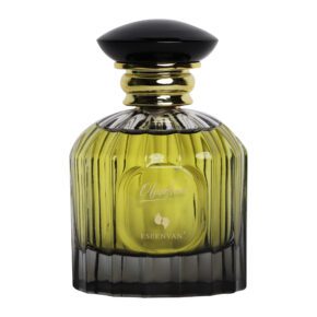 OBSIDIAN EDP 100 ML -ESEENVAN